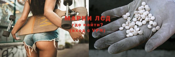 СК Зеленокумск
