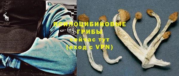 MDMA Premium VHQ Зерноград