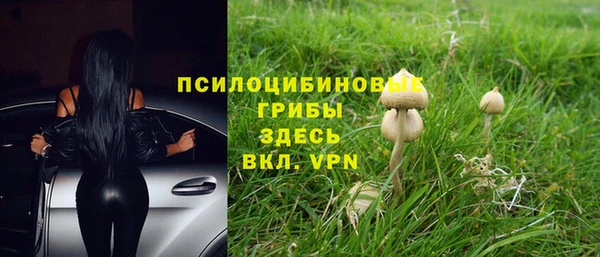 СК Зеленокумск