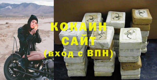 СК Зеленокумск