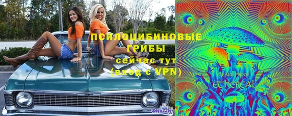 СК Зеленокумск