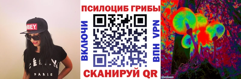 Купить закладки  Ершов  Галлюциногенные грибы Cubensis 
